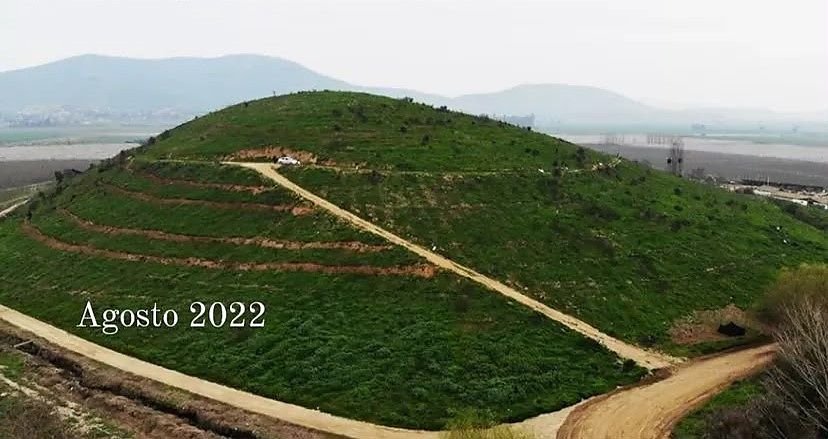 El mismo cerro cubierto de vegetación en agosto de 2022, trece meses después