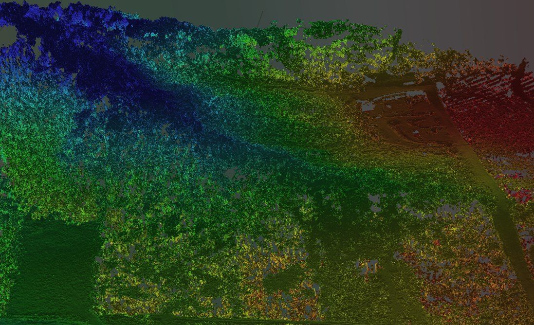 Nube de puntos del predio coloreada por altura: el dosel del bosque, los claros y el relieve del terreno