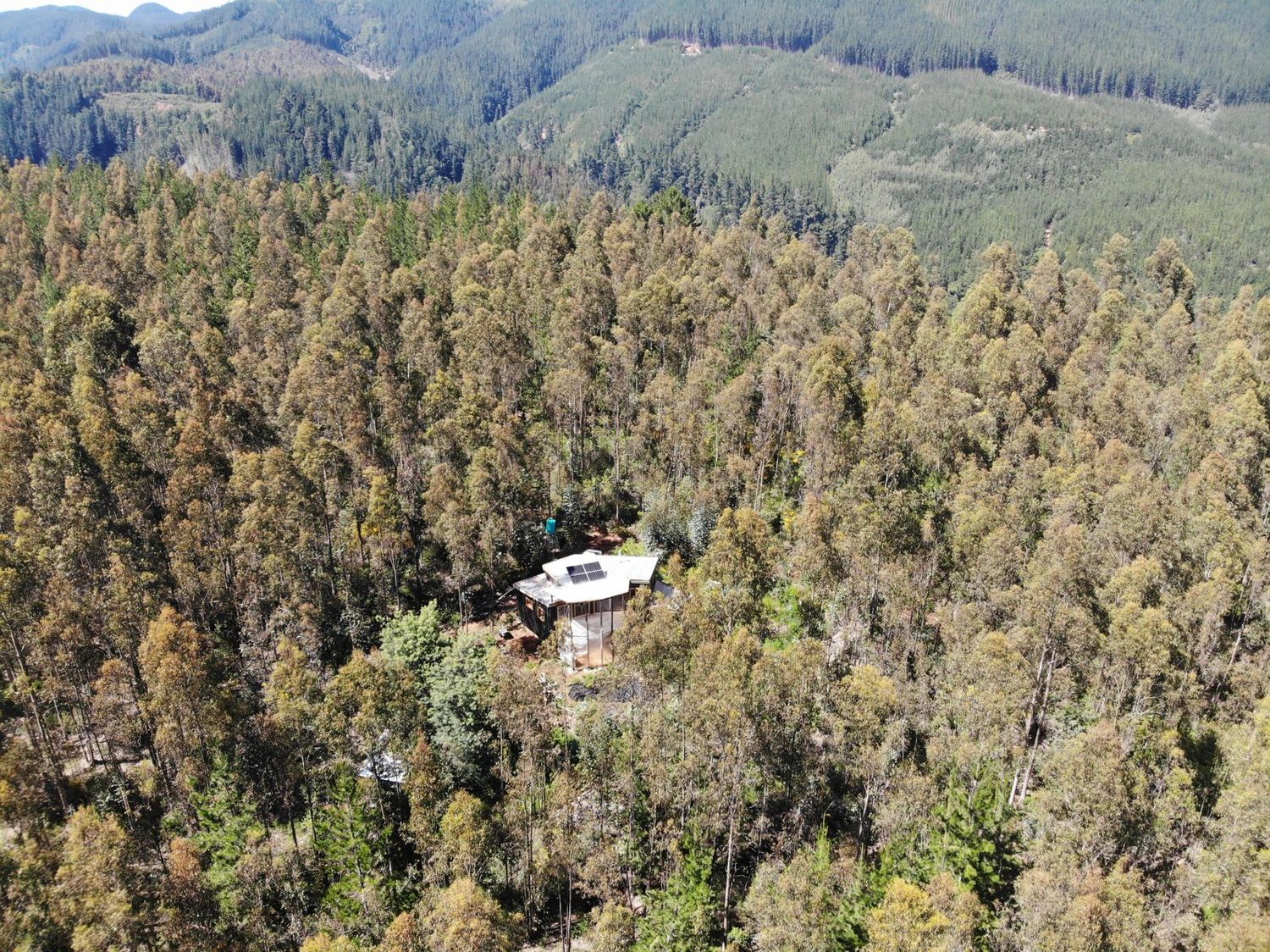 Vista aérea de la casa refugio entre el bosque