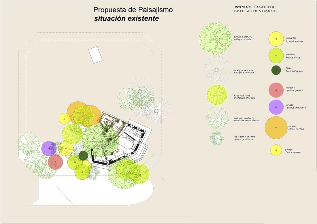 Plano de situación existente con inventario paisajístico