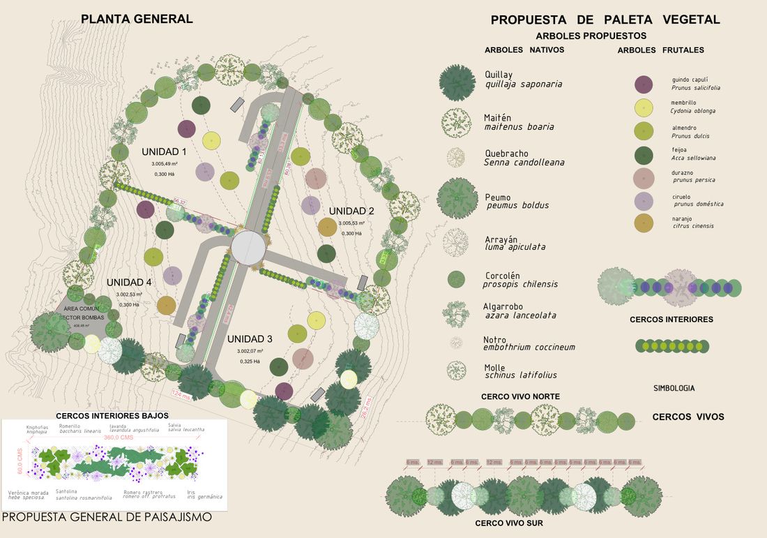 Planta general del loteo con las unidades resultantes y la paleta vegetal propuesta