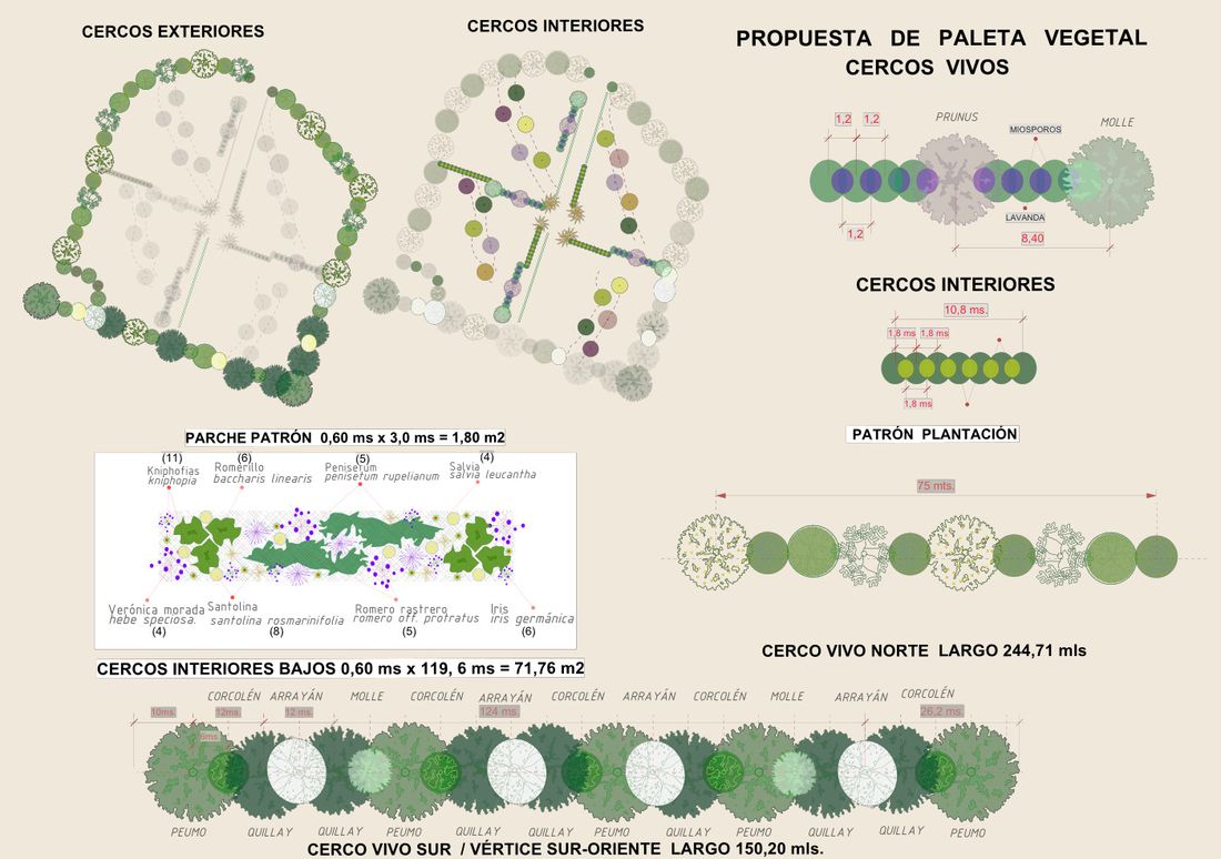 Plano de cercos exteriores e interiores con el patrón de plantación y las especies