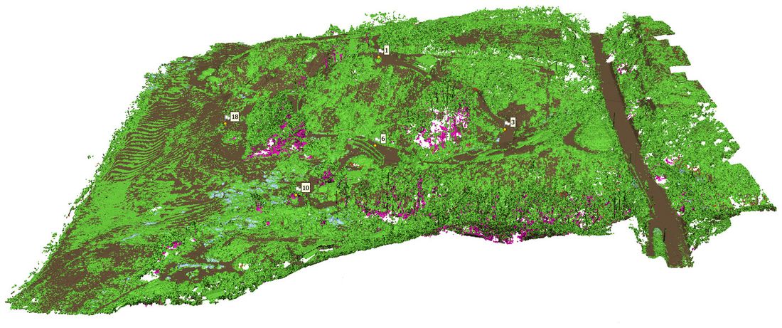 Nube de puntos clasificada: la vegetación separada del suelo, con los puntos de control del vuelo