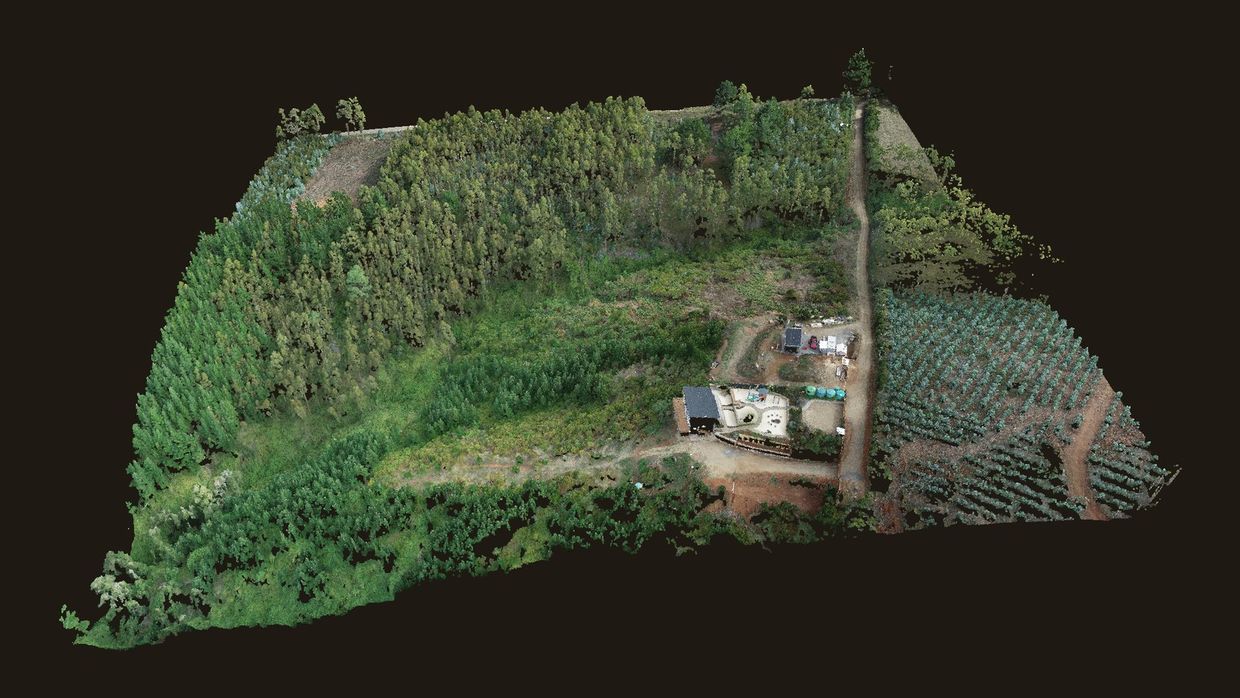 Nube de puntos tridimensional de un predio rural levantada con dron, con color fotogramétrico real
