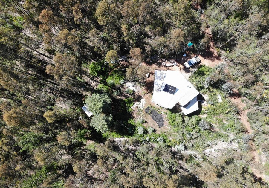 Vista cenital de la casa entre los árboles, con el claro despejado alrededor