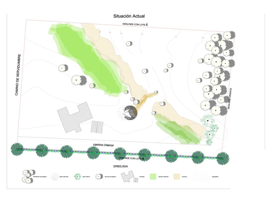 Plano de situación actual con la topografía, los deslindes y la vegetación existente