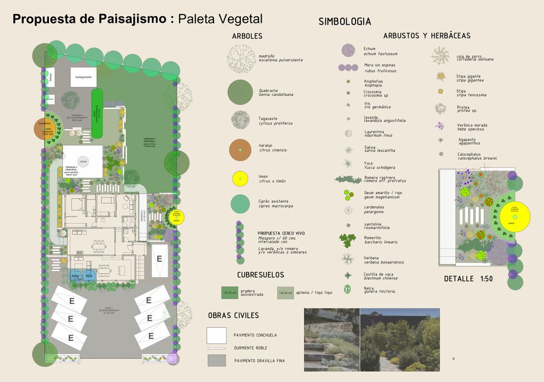 Plano de paisajismo con la paleta vegetal, las terrazas y el detalle a escala 1:50
